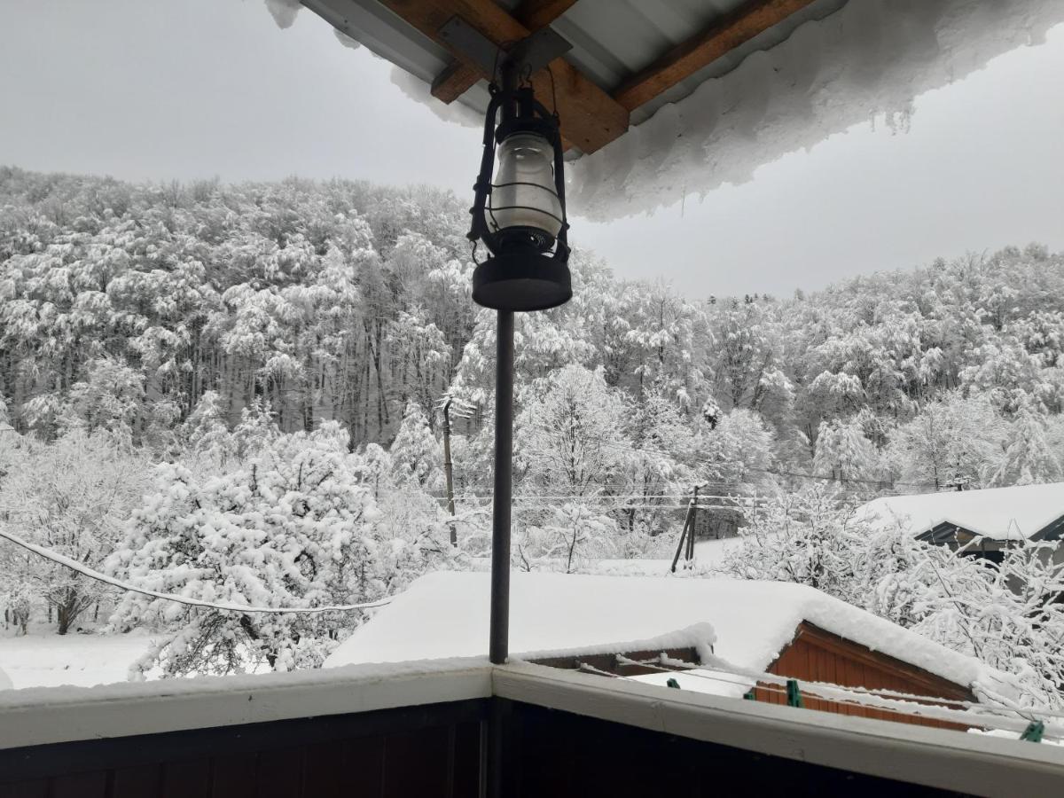 Barlig Apartment Yaremche Luaran gambar