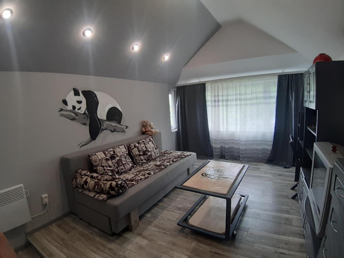 Barlig Apartment Yaremche Luaran gambar